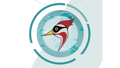 啄醫生客戶端“小啄”下載與使用說明